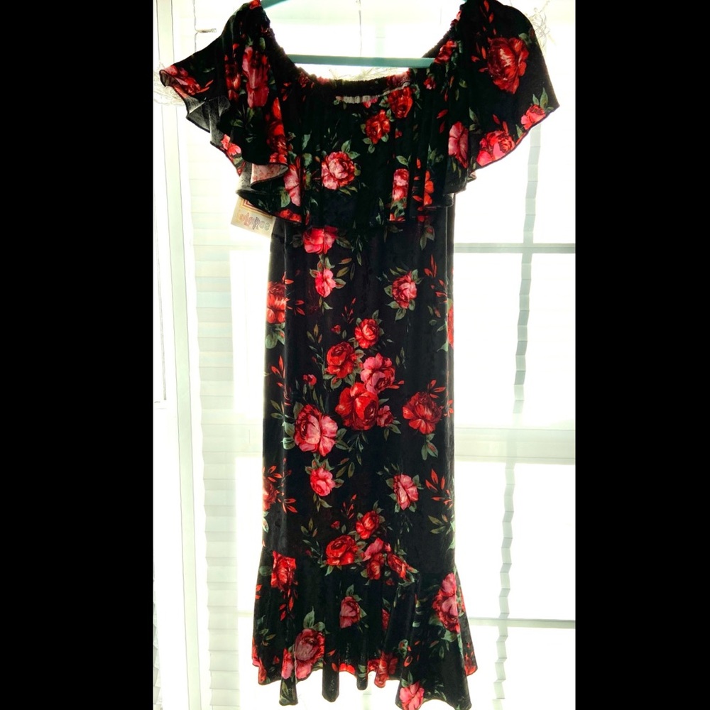 Lularoe Cici [BNWT] velvety swing dress, black with red roses, LARGE